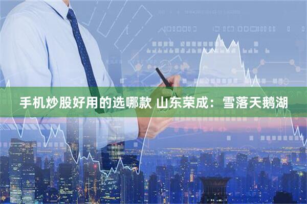 手机炒股好用的选哪款 山东荣成：雪落天鹅湖