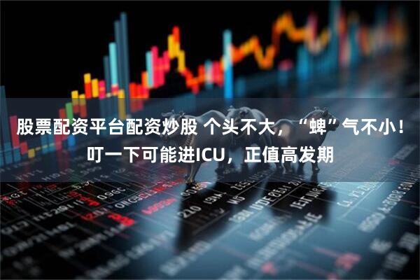 股票配资平台配资炒股 个头不大，“蜱”气不小！叮一下可能进ICU，正值高发期